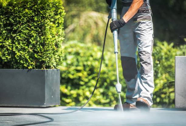 Best Building Exterior Washing  in Searles Valley, CA